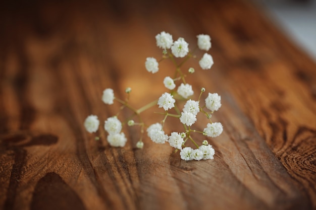 Bunch of white fowers (gypsophila) on a wooden background, selective focus