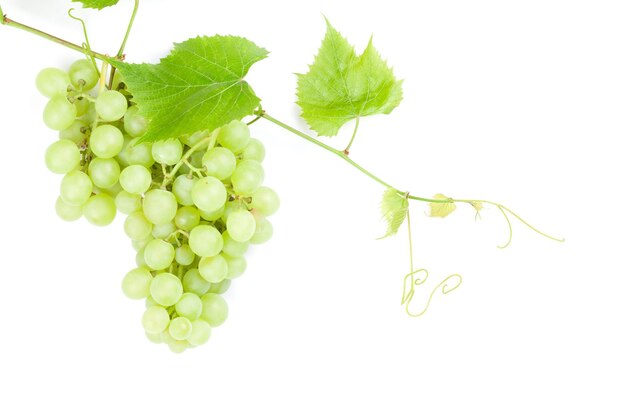 Bunch of white grapes