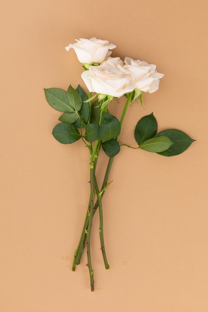 bunch of white roses lying on orange background. flower spring summer nature freshness copy space.