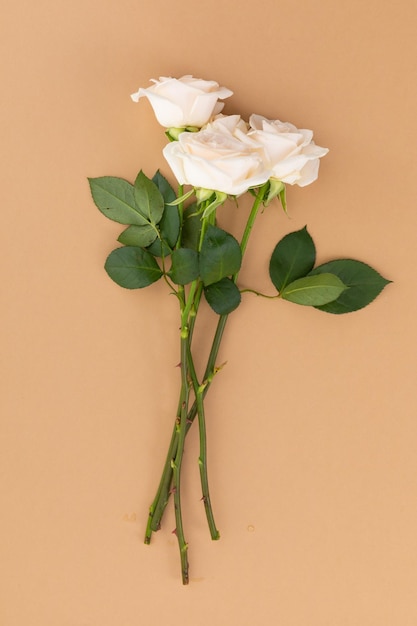 Bunch of white roses lying on orange background. flower spring summer nature freshness copy space.