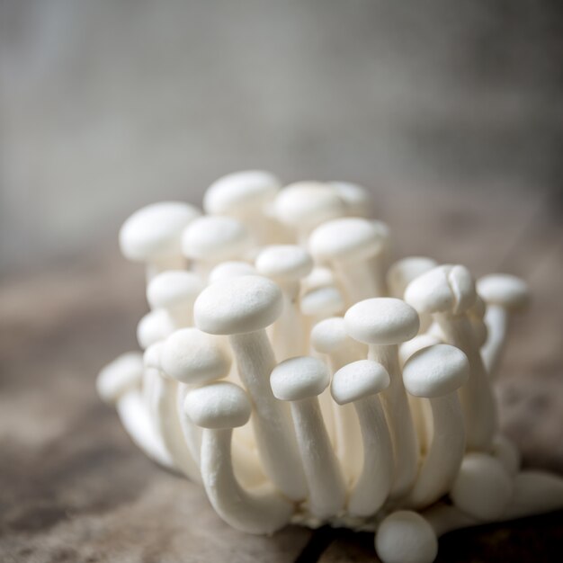 Bunch of white shimeji mushroom