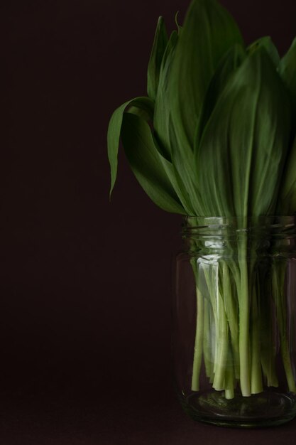 A bunch of wild garlic