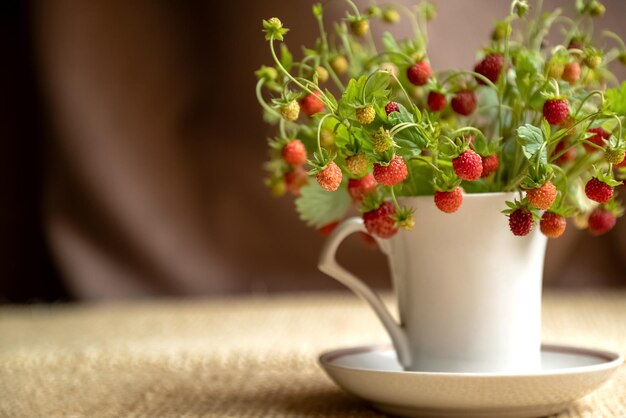 Bunch of wild strawberry twigs with red ripe berries in white tea mug summer bouquet close up