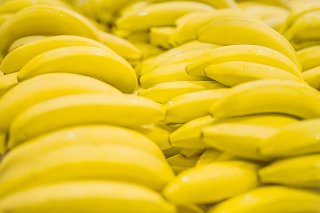 Bunch of yellow bananas in supermarket. Fresh and healthy. Shallow depth of field, focus on the front banana.