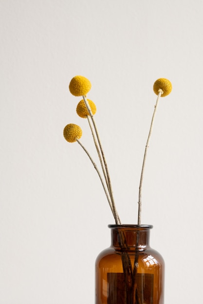 Bunch of yellow dried wildflowers on long stems standing in dark bottle or vase on white wall