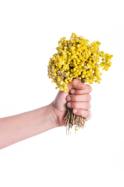 Foto mazzo di fiori gialli in mano