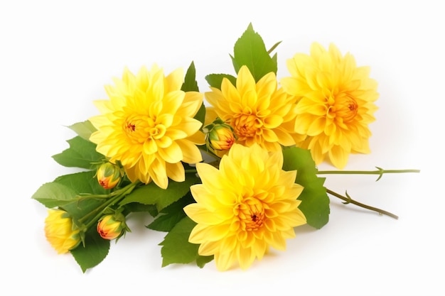 A bunch of yellow flowers with the word dahlia on the top.