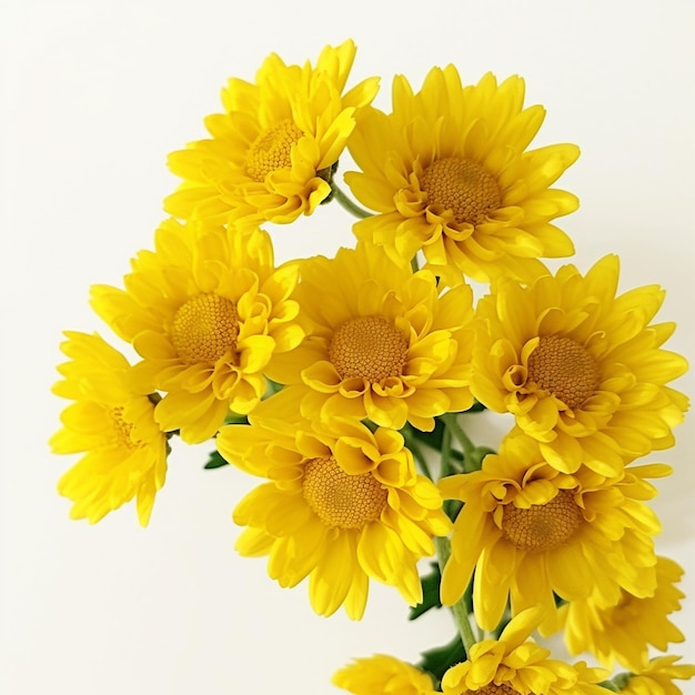 a bunch of yellow flowers with the word " sun " on them.