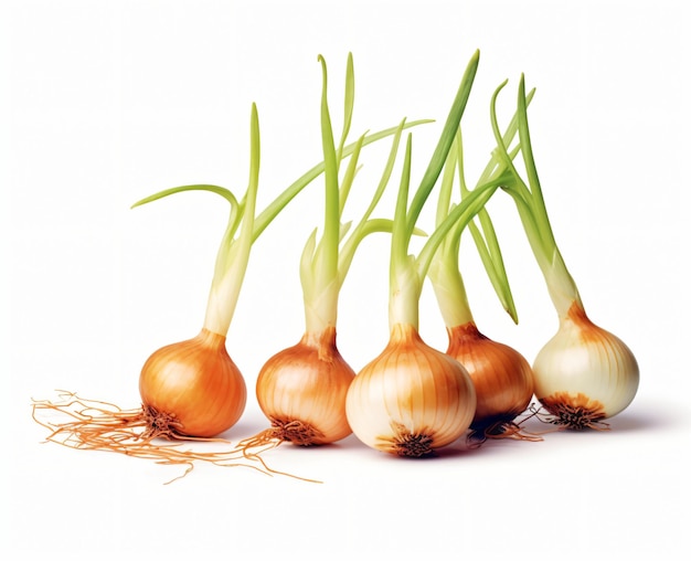 A bunch of yellow onions or shallots isolated on white background