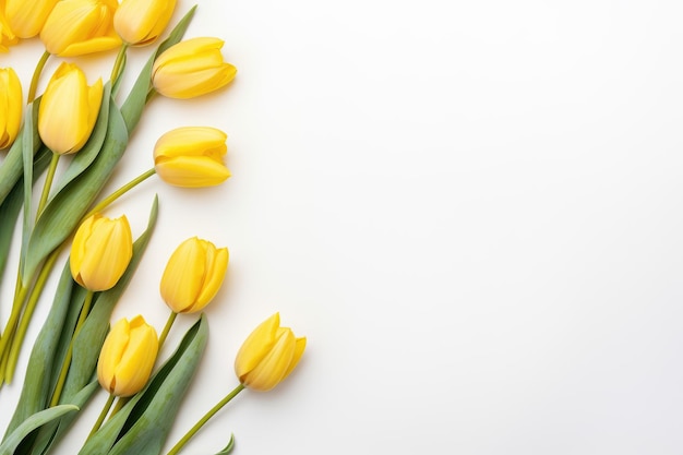 a bunch of yellow tulips with the words " spring " on the bottom.