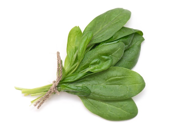 Bunch of young, fresh, green spinach isolated on white background