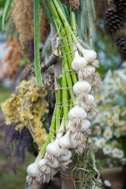 A bunch of the young garlic. Sale of young garlic at the fair.