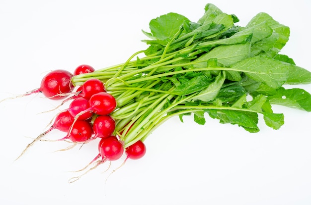 Bunch of young red fresh radish with green leaves isolated on white background, diet vegetarian menu. Studio Photo.