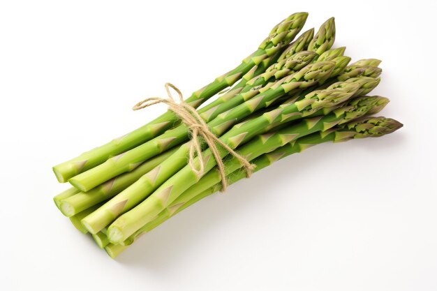 Bunche of fresh asparagus tied with natural thread on a white background isolated space for text