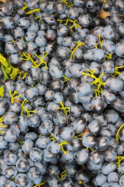 Photo bunches of black grapes close up. top view