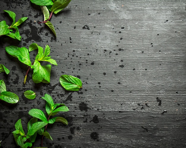 Bunches of fresh mint on the black wooden table