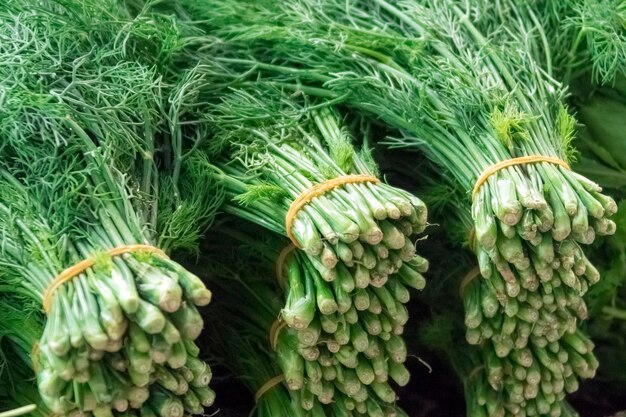 Bunches of green dill