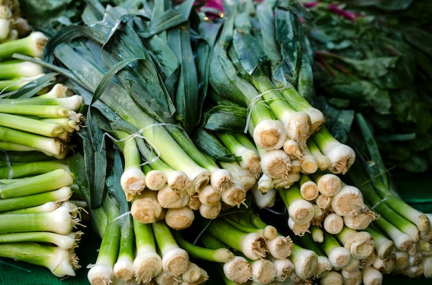 Bunches of green onions bunch at the market place.