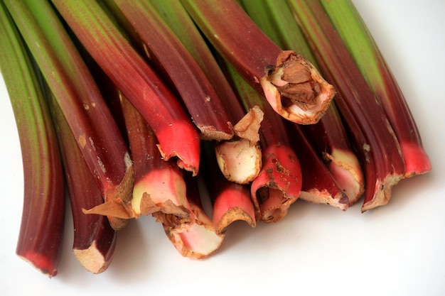 Bunches of organic rhubarb at a farmers market