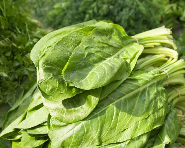 Bunches of organic spinach at farmers market in Turkey