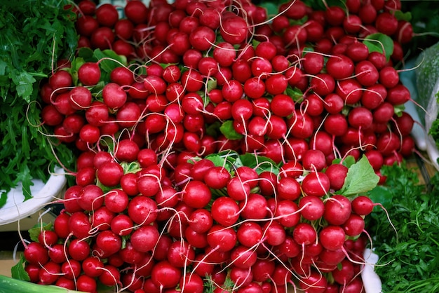 Bunches of radishes for sale