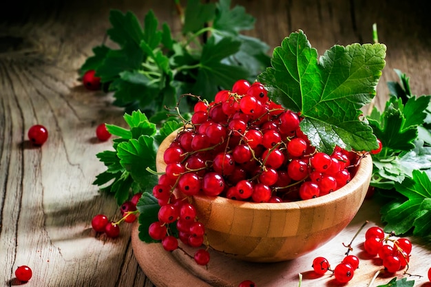 Bunches of red currant with leaves selective focus