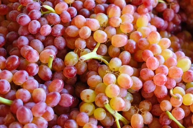 Bunches of red grapes 