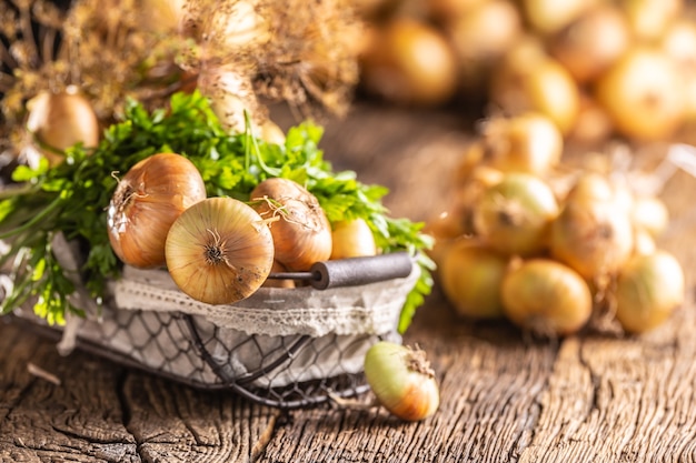 Bundel van vrij liggende gedroogde ui met peterselie kruiden en dille in mand op een houten tafel.