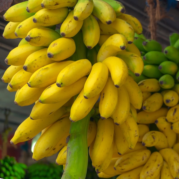 Bundels van gele, rijpe bananen.