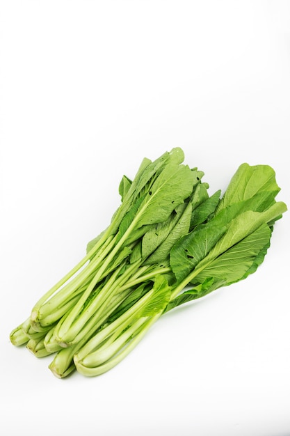 Bundle bog choy isolated on white background