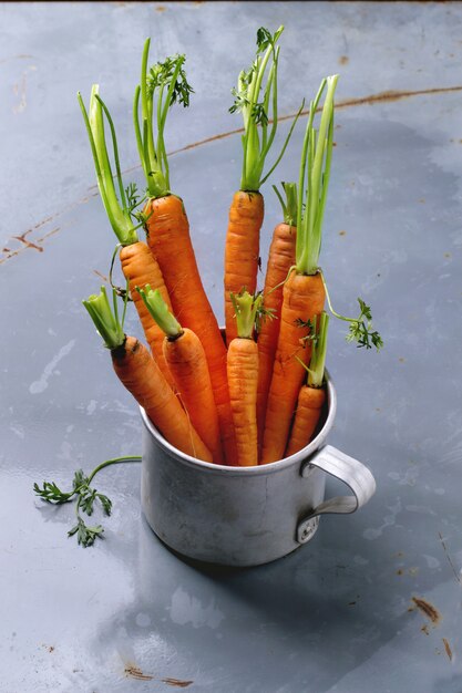 Bundle of carrots