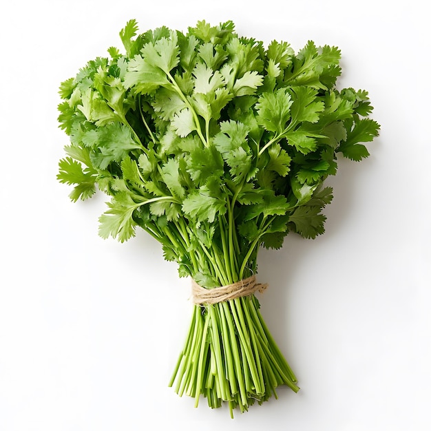 a bundle of celery tied with a string tied around the edge of a bunch of green onions
