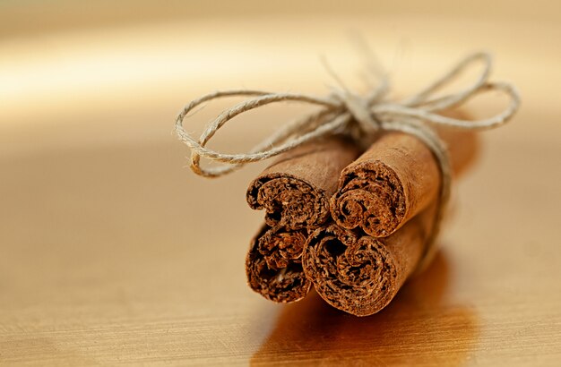 Bundle of cinnamon stick