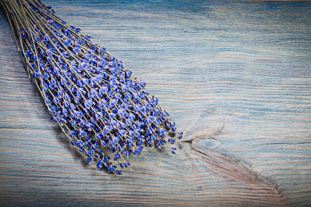 Bundle of dried lavender