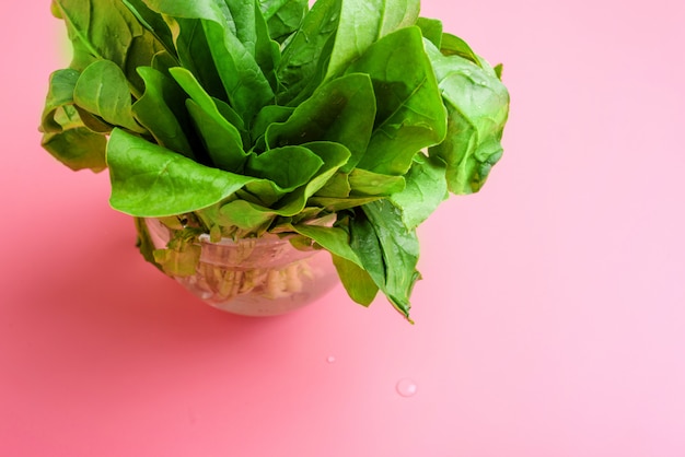 Un pacco di spinaci freschi sul concetto sano di cibo del fondo rosa