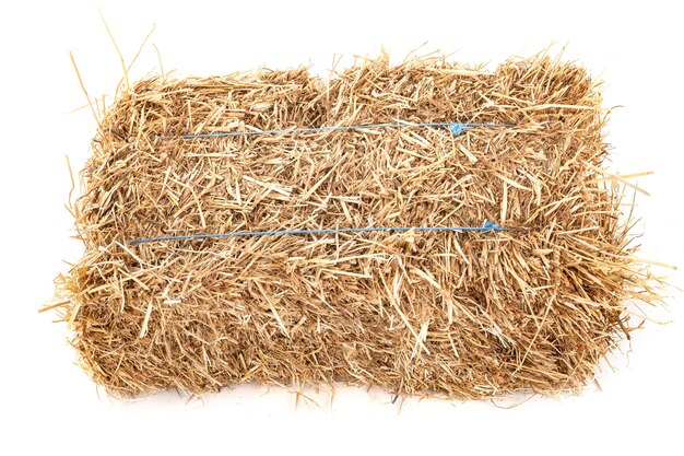 bundle of straw in front of white background