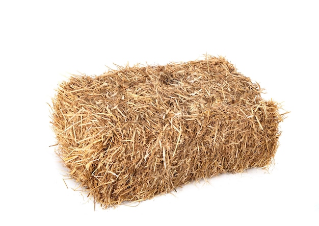 Bundle of straw