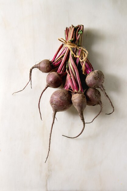 Bundle of young garden beetroot