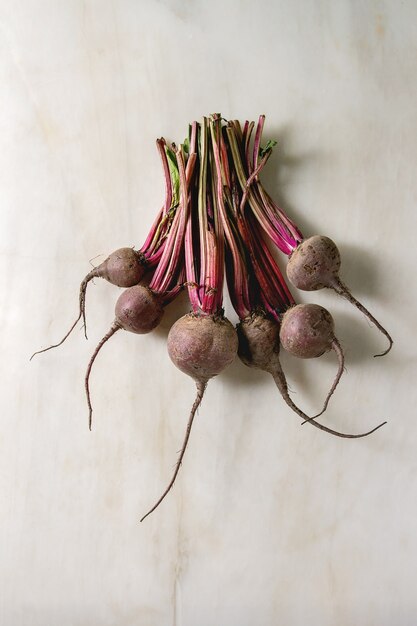 Bundle of young garden beetroot