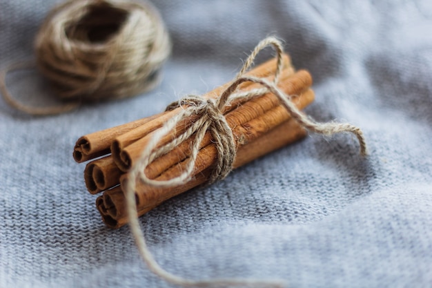 Bundled dried cinnamon sticks on gray knitted background