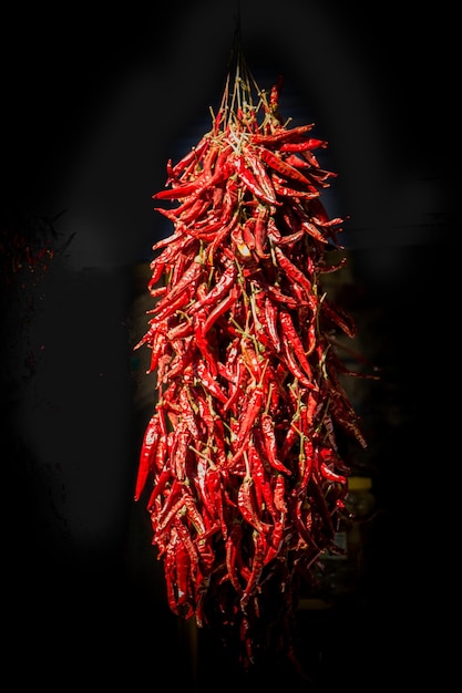 Bundles of red peppers dry in the sun