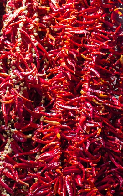 Bundles of red peppers dry in the sun