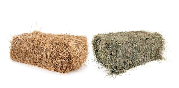 Bundles of straw and hay