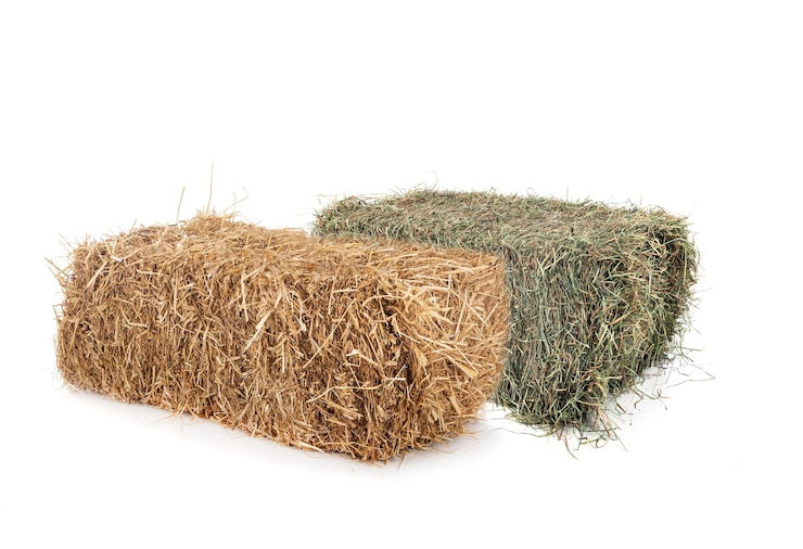 Photo bundles of straw and hay