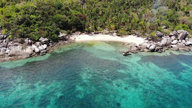 Bungalow and green coconut palm on tropical beach. Cottage on sandy shore paradise island drone view