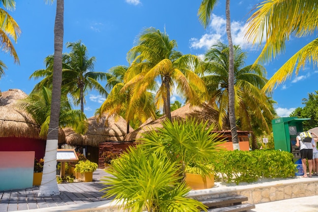 Bungalows in the shadow of cocos palms on the beach Isla Mujeres island Caribbean Sea Cancun Yucatan Mexico