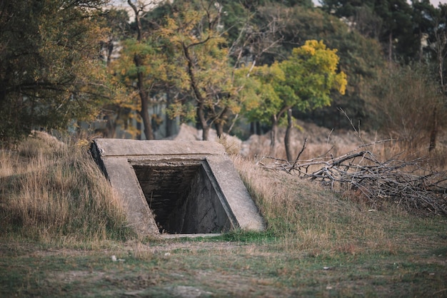 Bunker entrance in the forest