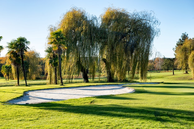 Bunker on the golf course with trees