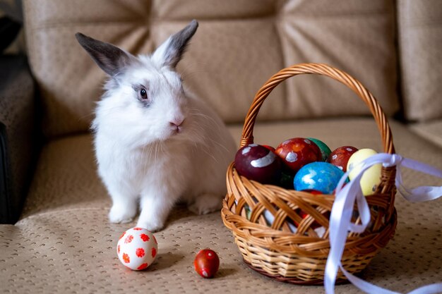 Bunny next to a basket of Easter eggs