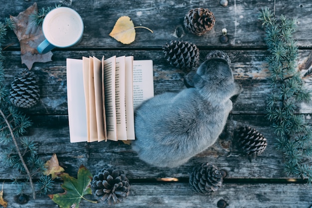 Animale domestico e libro del coniglietto su una tavola di legno con caffè e i pini all'aperto